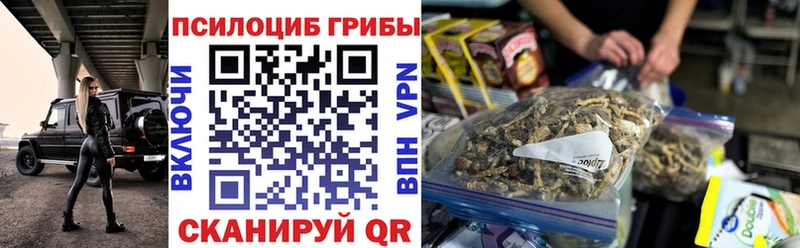 Псилоцибиновые грибы MAGIC MUSHROOMS  KRAKEN вход  Калтан  хочу  